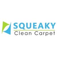 Squeaky Carpet Cleaning Perth image 5